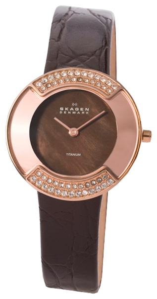 Наручные часы - Skagen 669STRLD4
