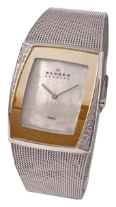 Наручные часы - Skagen 946SGS