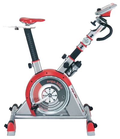 Daum Electronic Ergo Bike Premium 8i