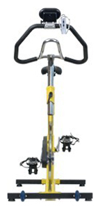 LeMond Fitness RevMaster Classic